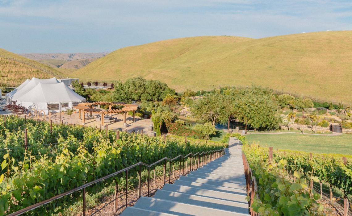 The Best Venues & Vendors in Livermore (2022) On the Vine Catering