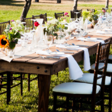 Kings Table in the Vineyard